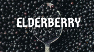 Farmhouse Basic Collection Elderberry benefits