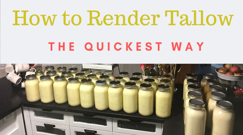 Quickest way to render tallow in a few easy steps