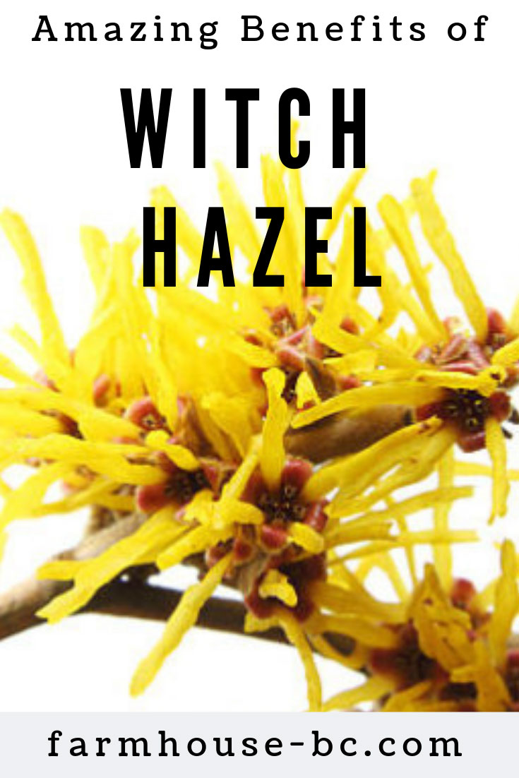 Farmhouse BC Witch Hazel amazing benefits PT