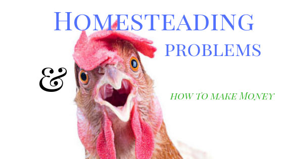 Farmhouse Basic Collection homesteading problems