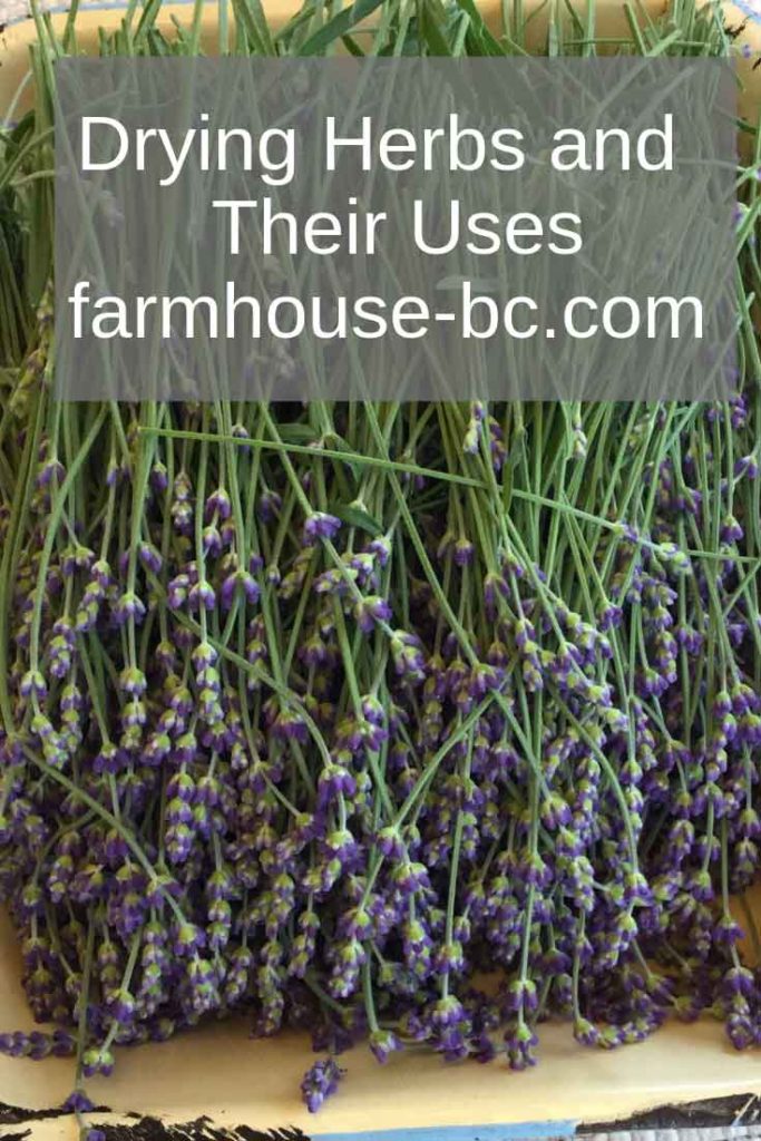 Farmhouse BC drying herbs and best methods