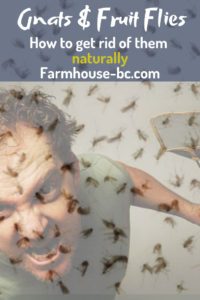 farmhouse-bc how to get rid of gnats naturally