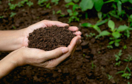 Making Compost Naturally Into Garden Soil Farmhouse Basic