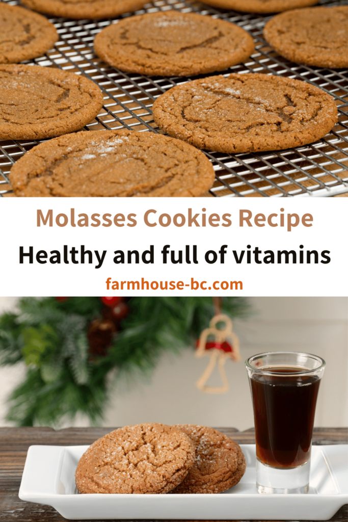 Molasses cookie recipe perfect for holiday desserts to enjoy with the family