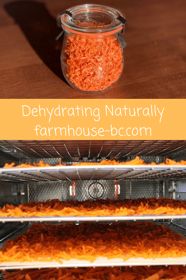 Dehydrating Food naturally