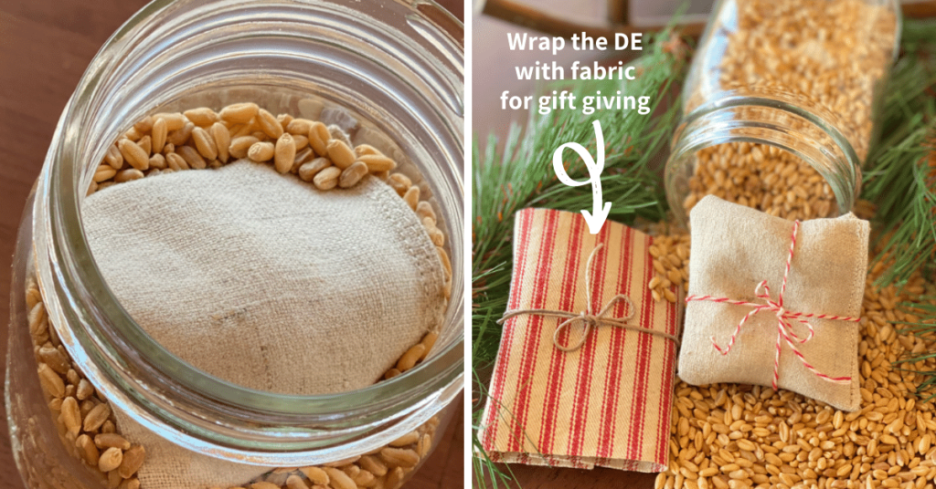 Natural way to keep pet food from pest and dry for storage using DE