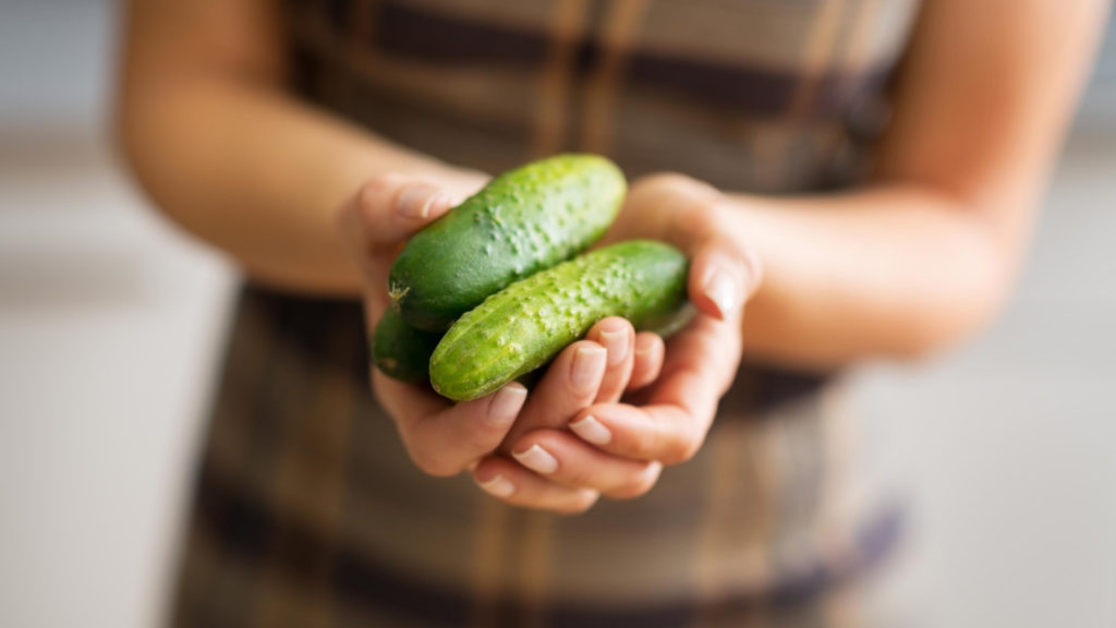 cucumbers for fermenting and gut health
