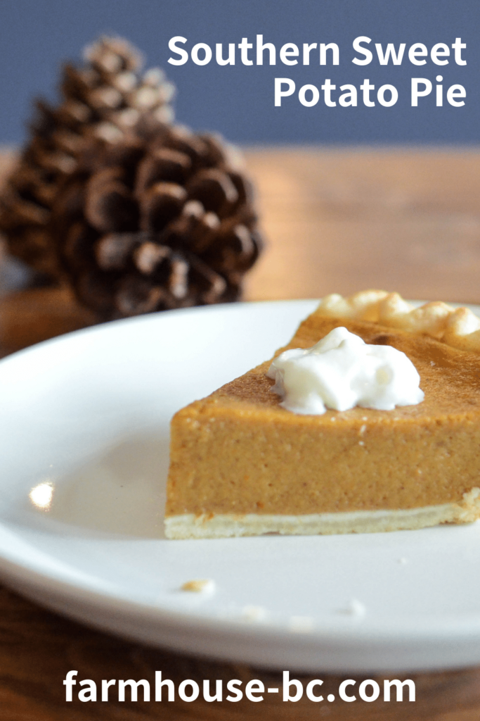 Southern sweet potato pie topped with a glob of whip cream.