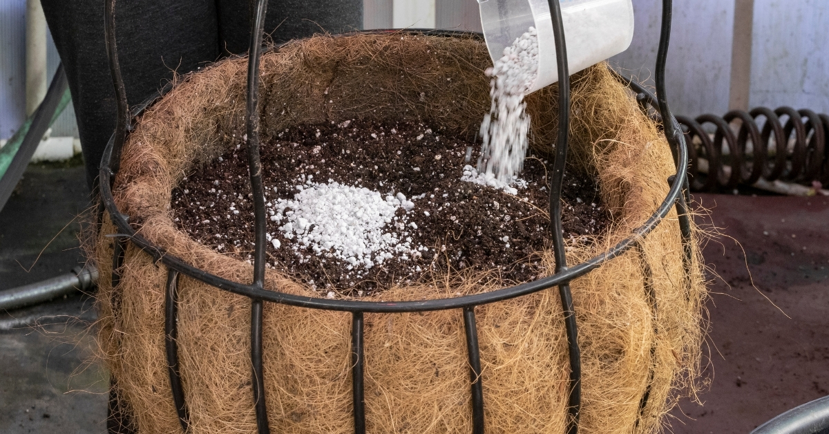 Perlite adds proper drainage to plants