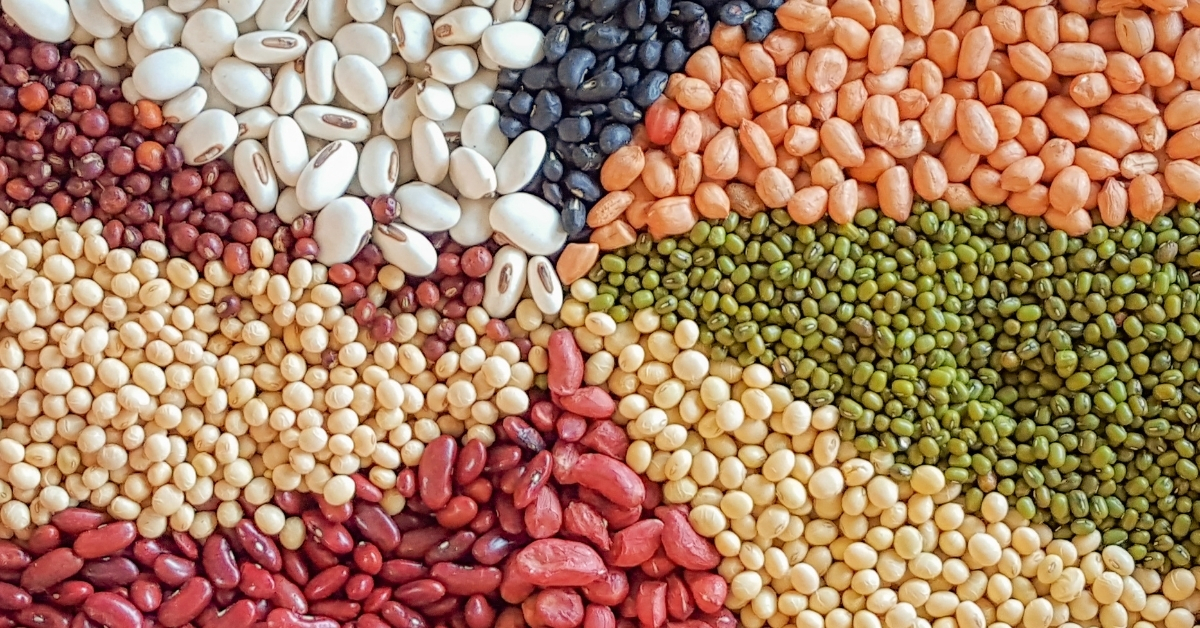 Different types of beans for chili