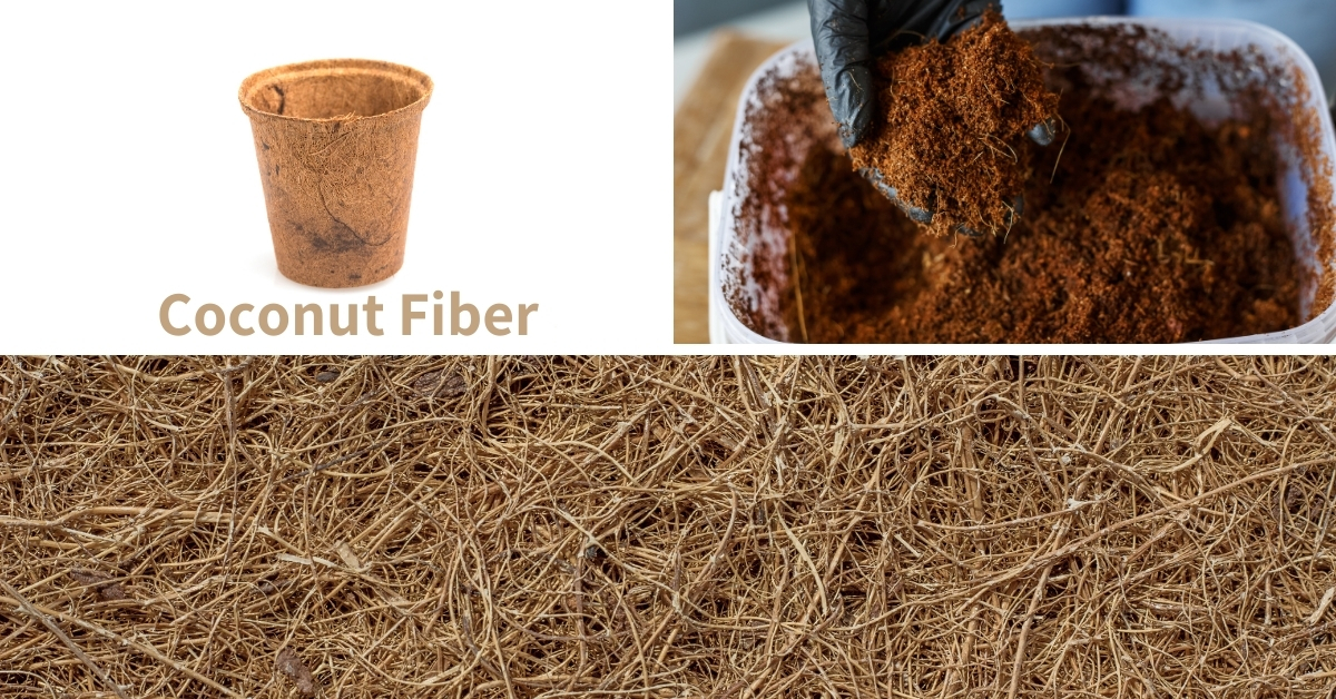 Peat moss alternative, coir, coconut fiber