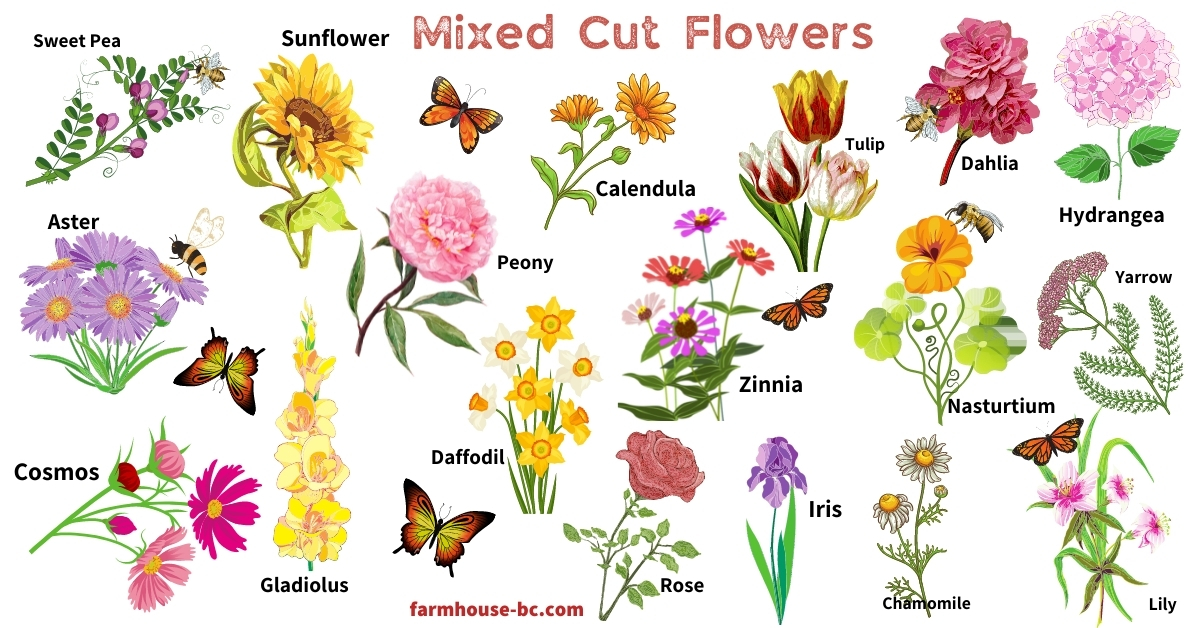 Cut flowers are easy to grow for a beautiful garden. 