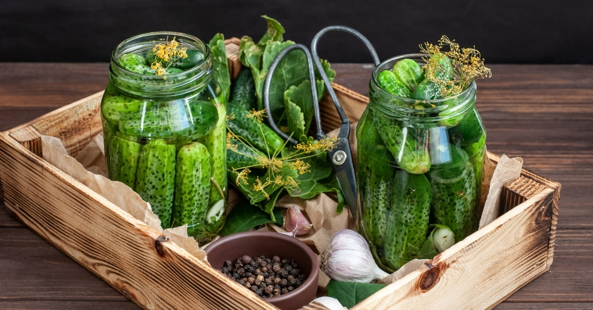 Fermenting Pickles is So Easy to Try When Starting Fermenting For Good Gut Health