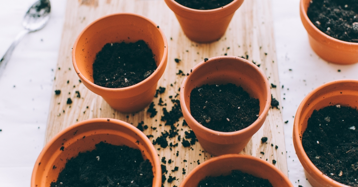 Fill the container Gardening with dirt halfway in the container.