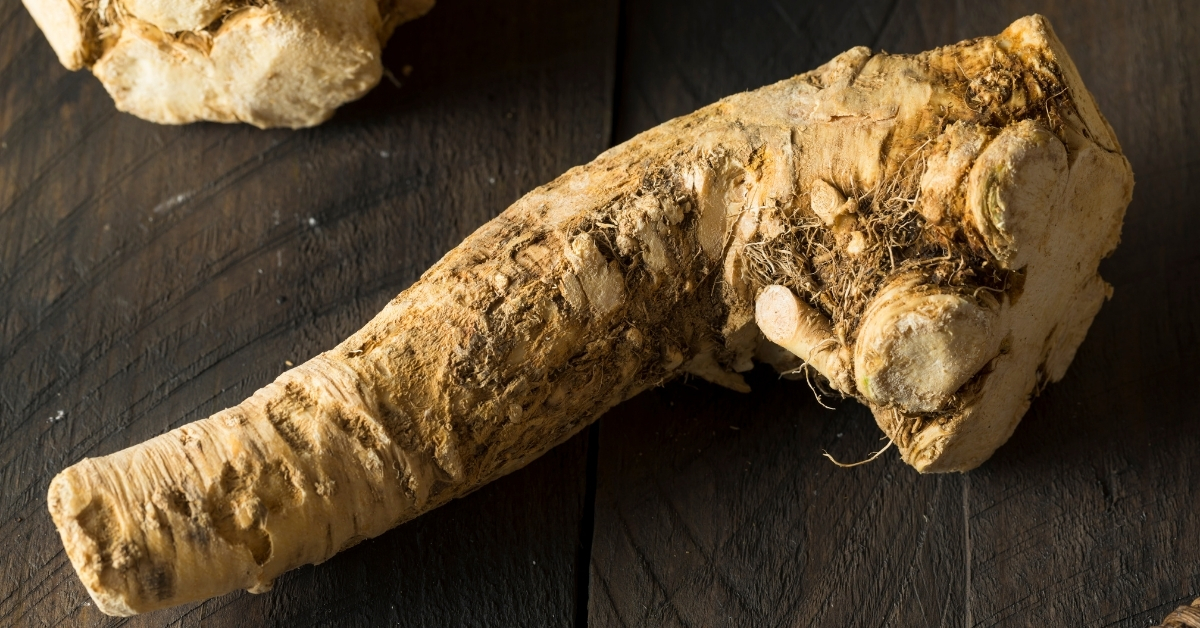 Use Fresh Horseradish Root to Make Horseradish Mustard