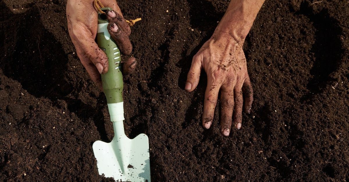 Using natural soap for gardeners hands