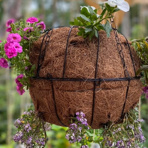 A unique and inexpensive way of planting your flowers in the spring using Dollar Tree Hanging Flower Baskets.