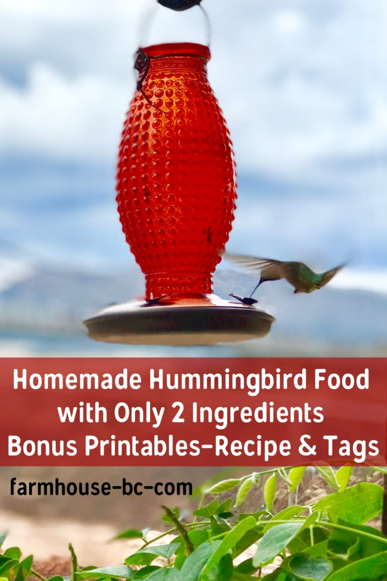 Easy Hummingbird Food Recipe With 2 Ingredients ⋆ Farmhousebc