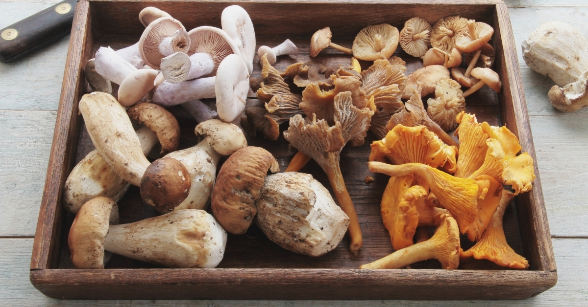 Use a variety of mushrooms when making homemade mushroom soup