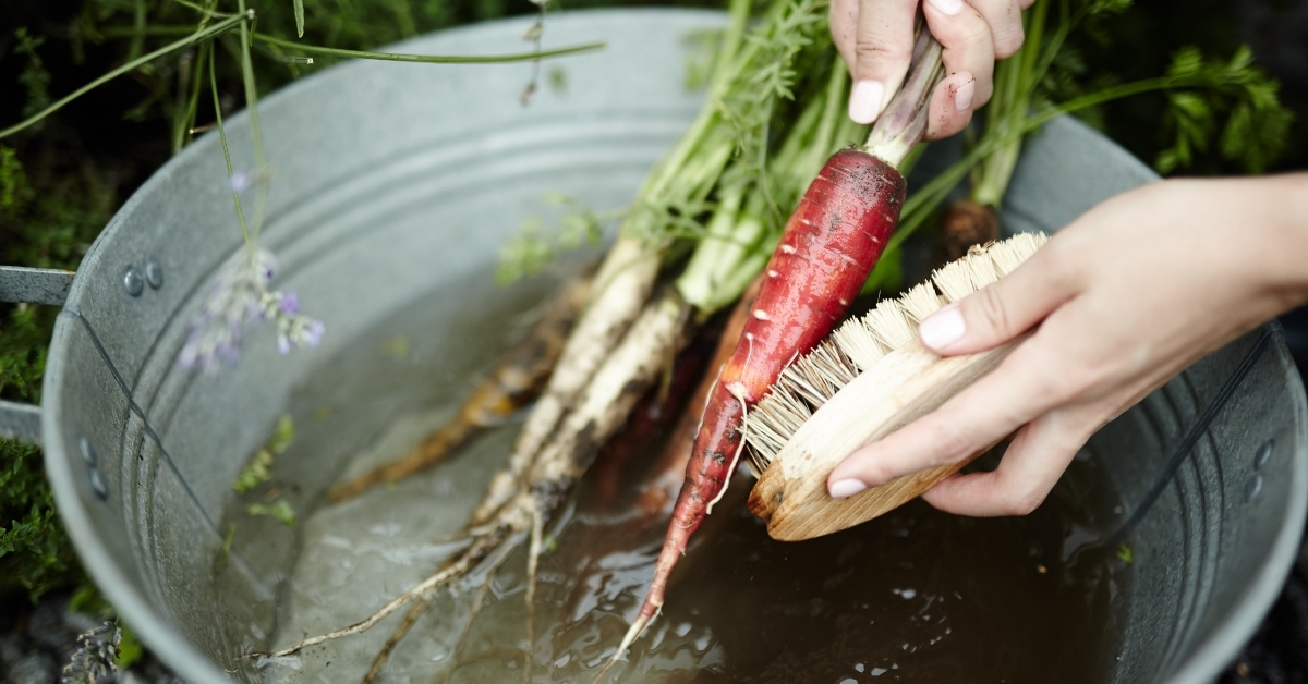 It is So Easy to Clean Vegetables in the Garden After Picking By Using a Veggie Soap and a Food Brush.