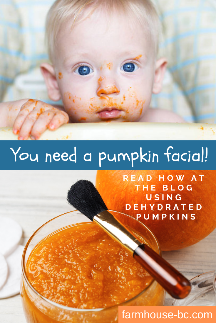 How to Make a Pumpkin Facial at Home