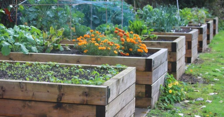 Hügelkultur Raised Beds That Are Amazingly Easy To Build ⋆ Farmhouse-bc