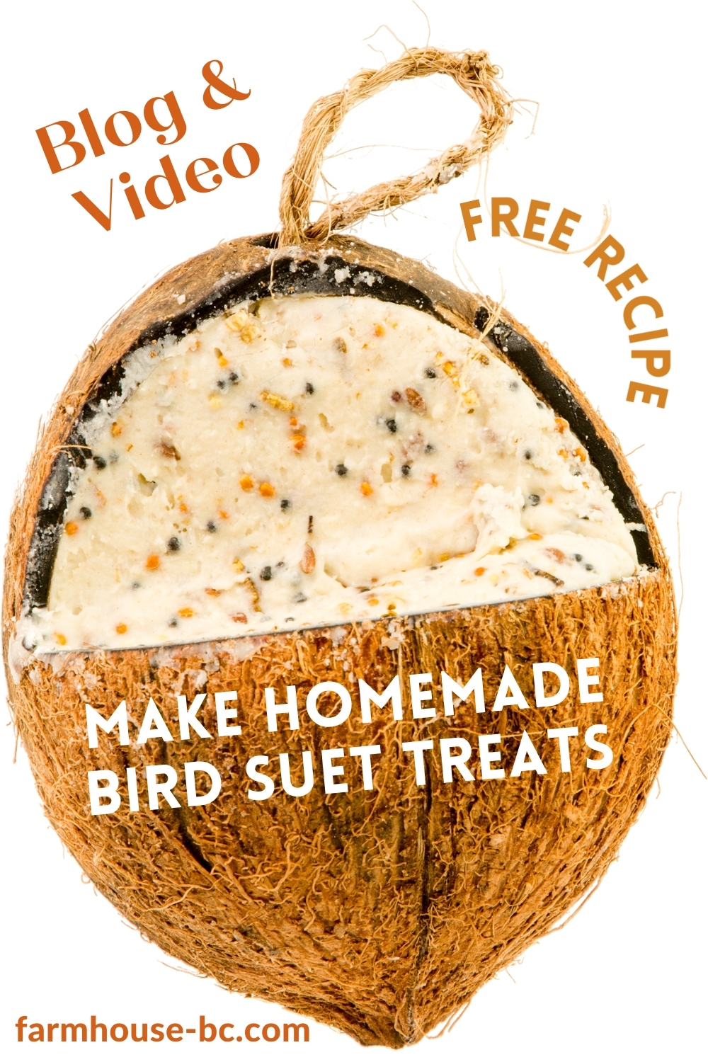 Easy bird suet treat recipe