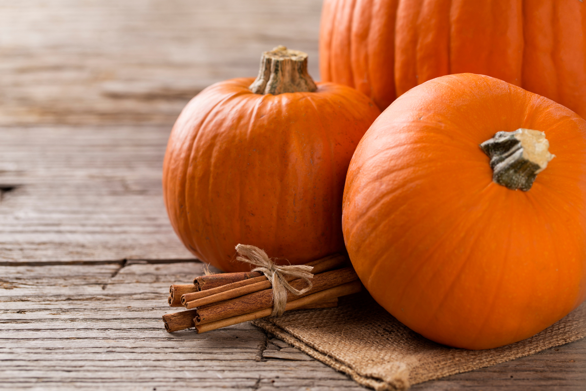 Pumpkins used for dehydrating