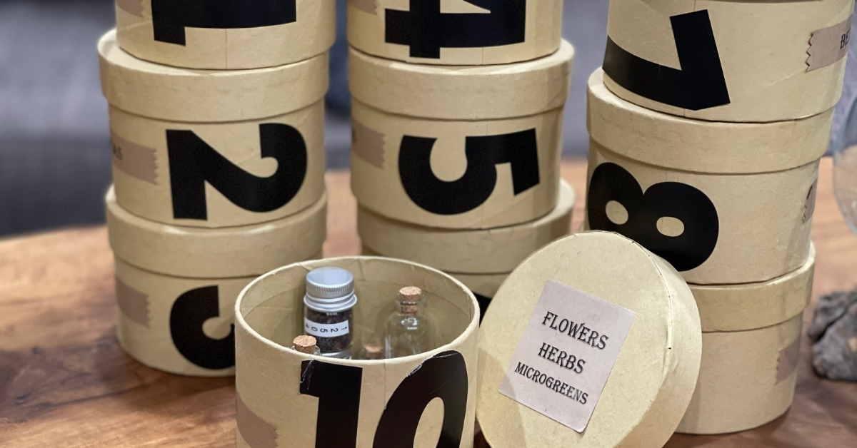 Seed Organization Using Bin Containers from the Dollar Tree.