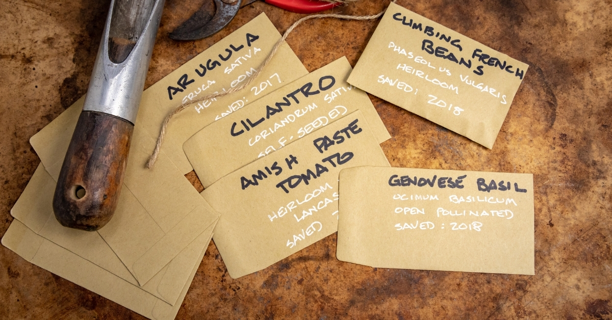Seed organization using manila envelopes.