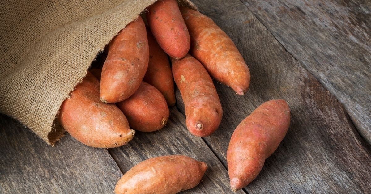 Sweet potatoes are the key factor to enjoy a healthy dessert