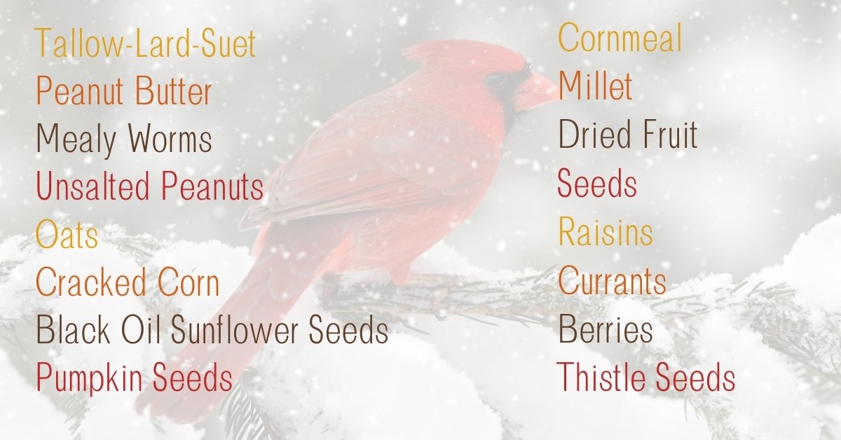 Safe food to feed your outside winter birds to make suet cakes!