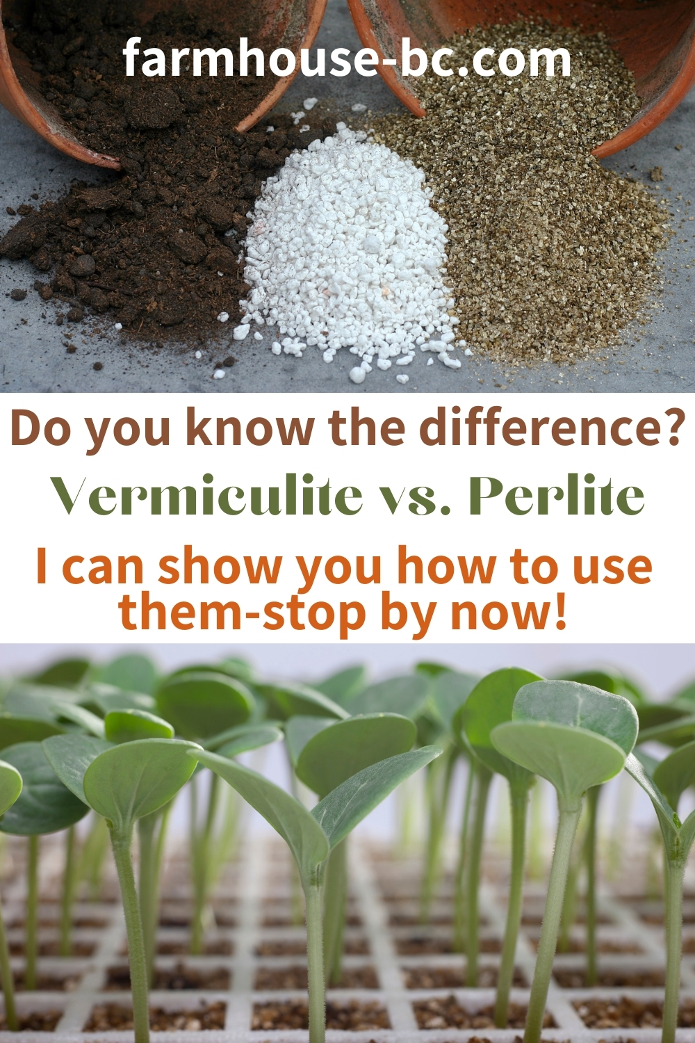 Do you know the difference between perlite vs. vermiculite?