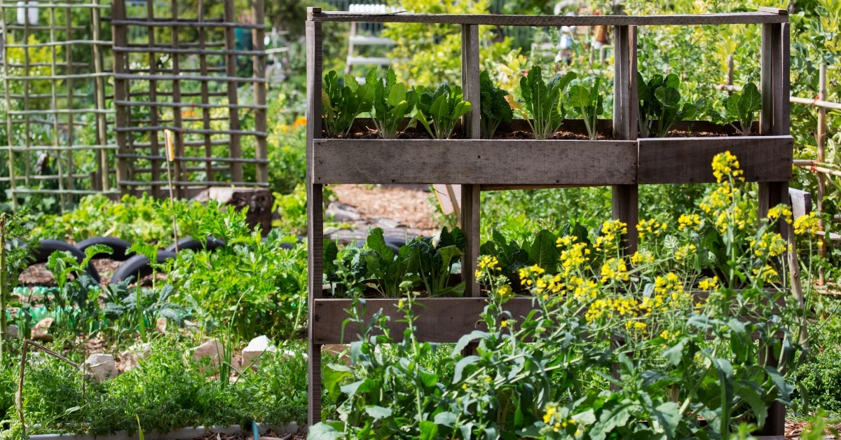 Vertical gardening planters can be made from wood.