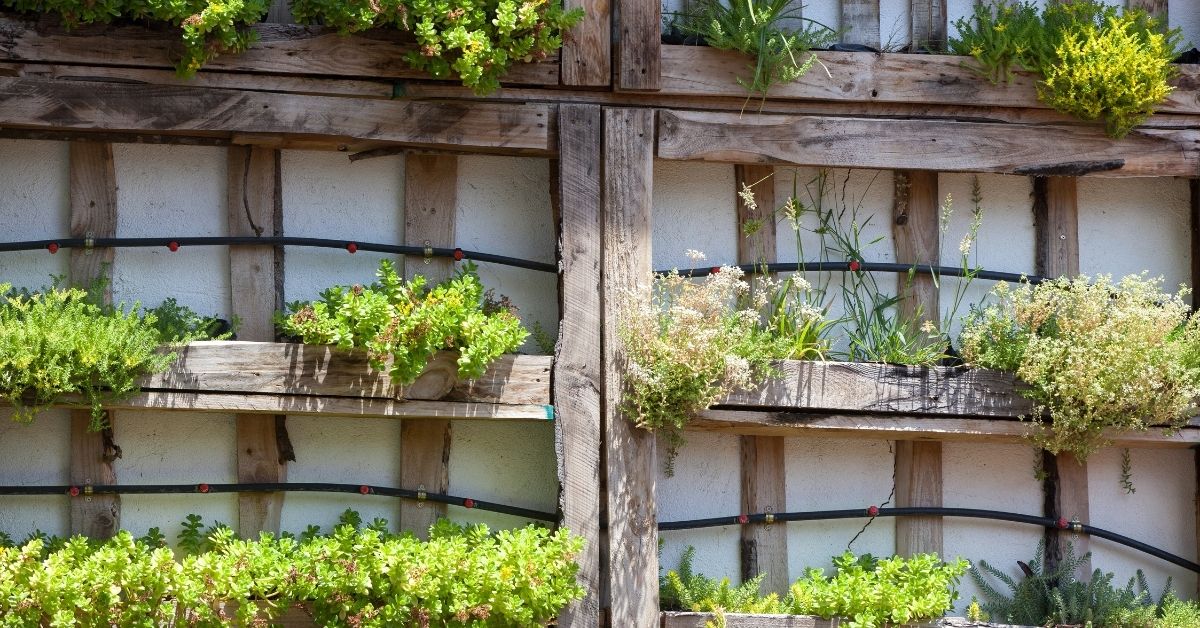 Small spaces doesn't make it impossible to garden, vertical gardening is easy. 