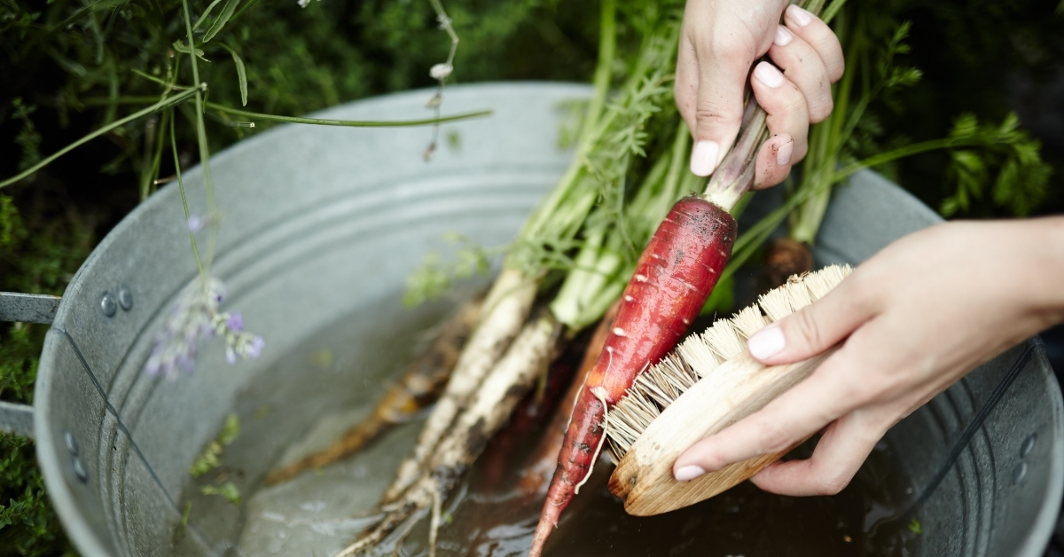 Washing Carrots for Fermented Coleslaw is an Option