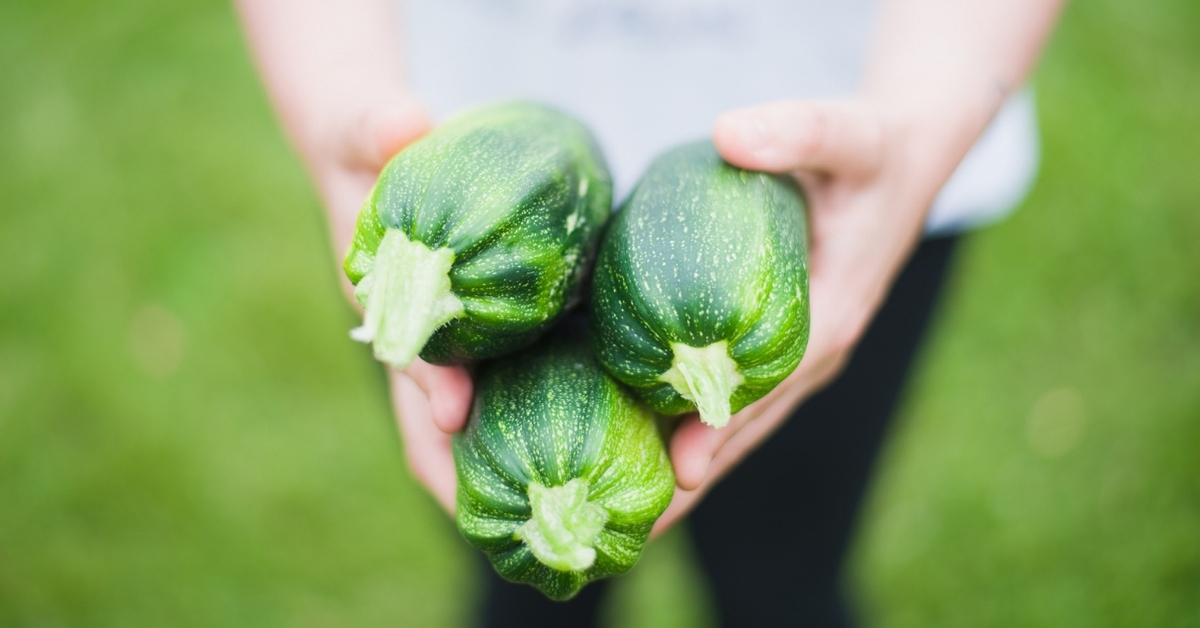 Where to purchase zucchini to make zucchini bread can be found in health food stores as well as grocery stores.