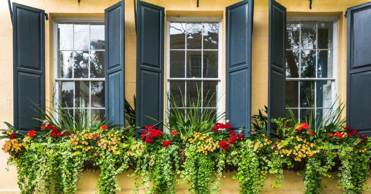 Window Boxes for Container Gardening