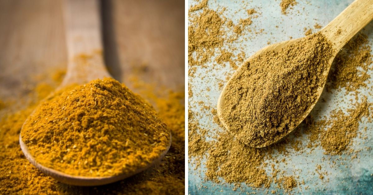 garam masala and curry