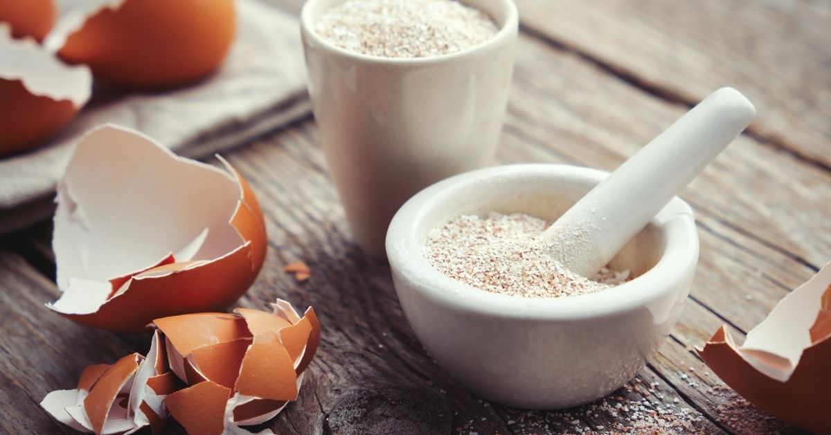 grinding eggshells into powder. 