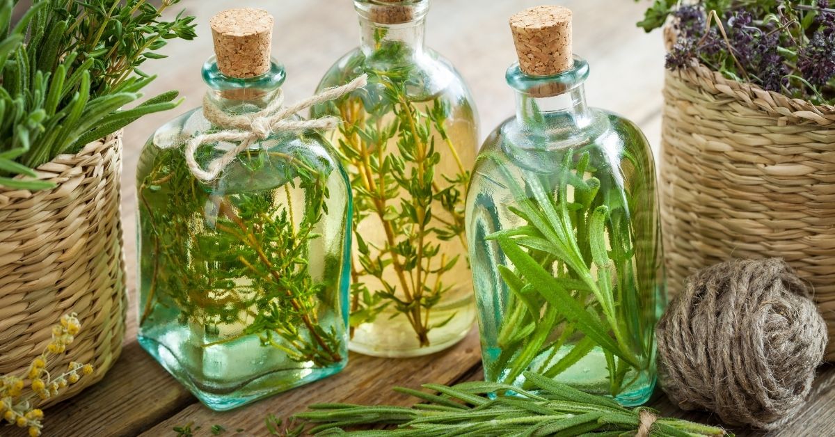 herbs infused into oil for cooking