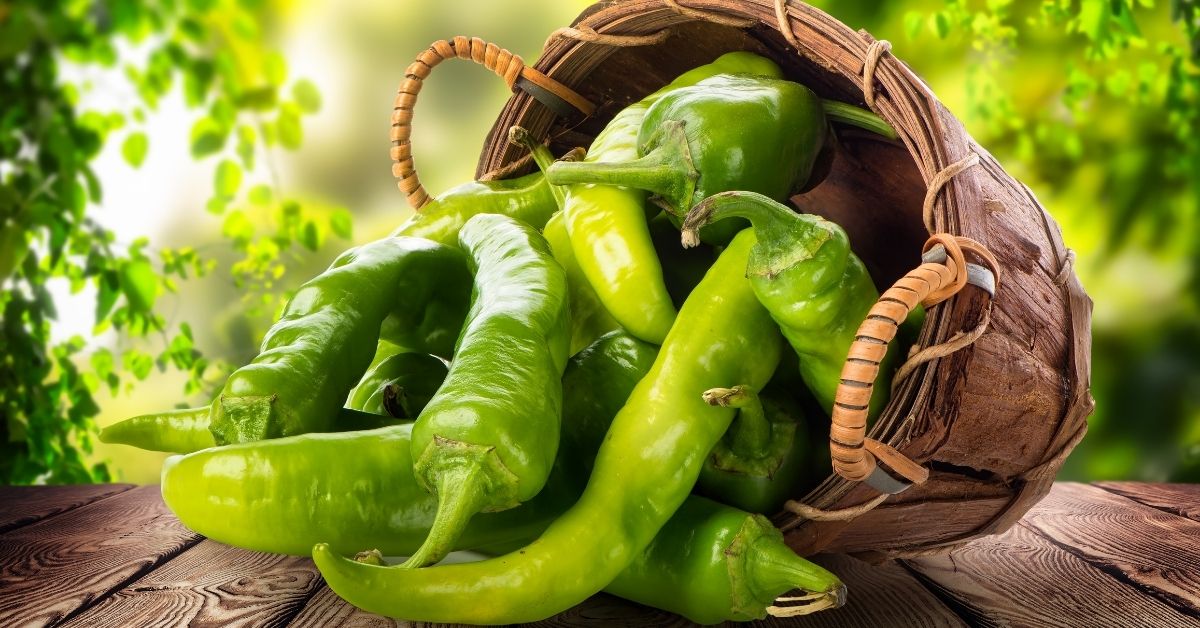Types of peppers to use in easy bison chili