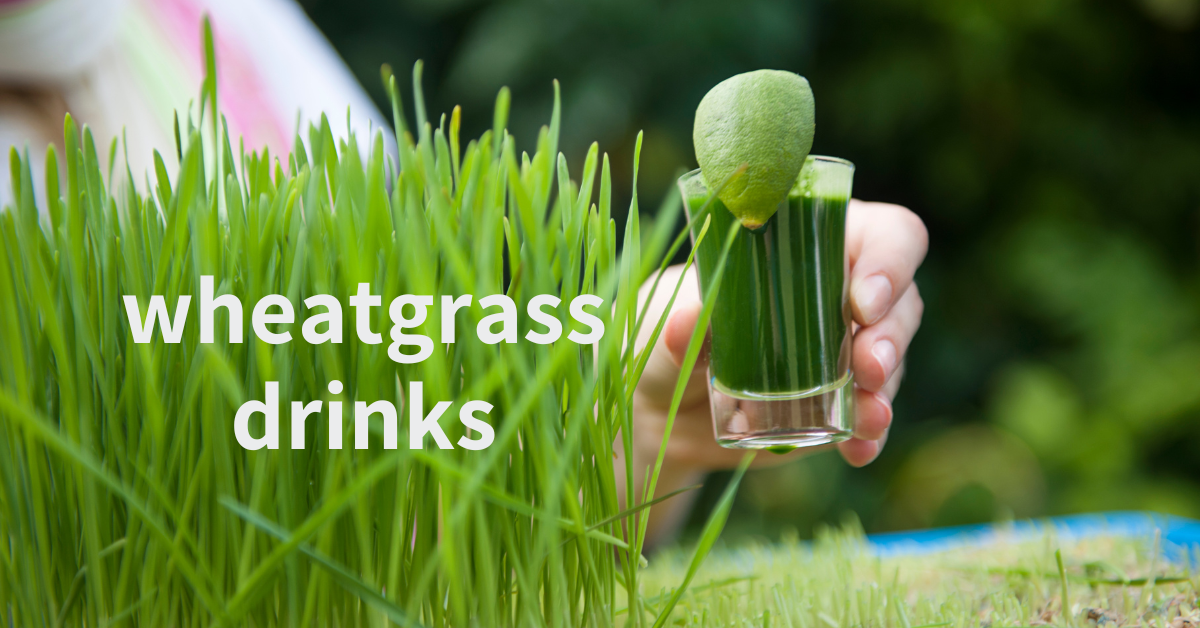 Wheatgrass drinks that are healthy 